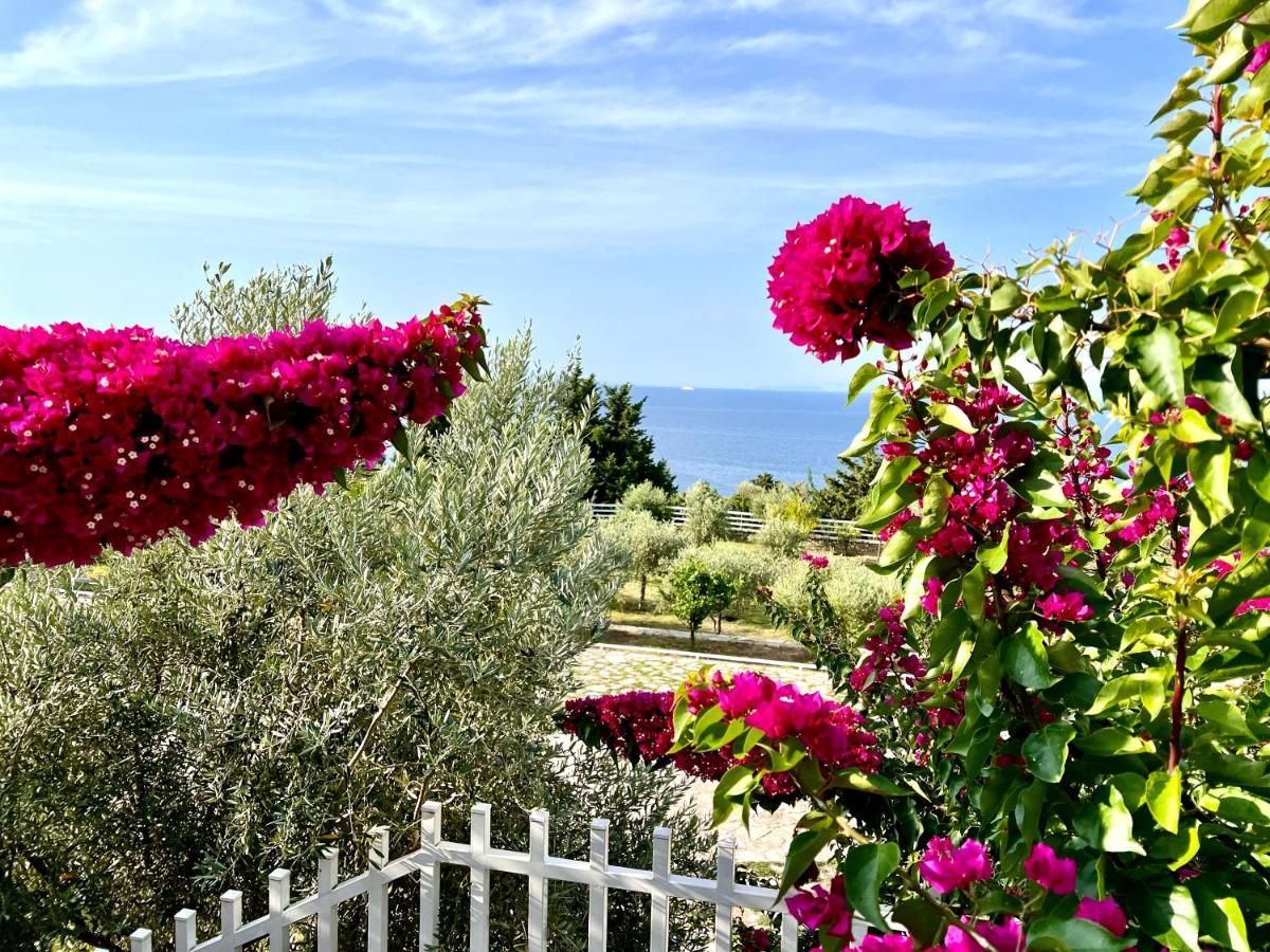 Elysium Hotel Dhermi Exterior photo