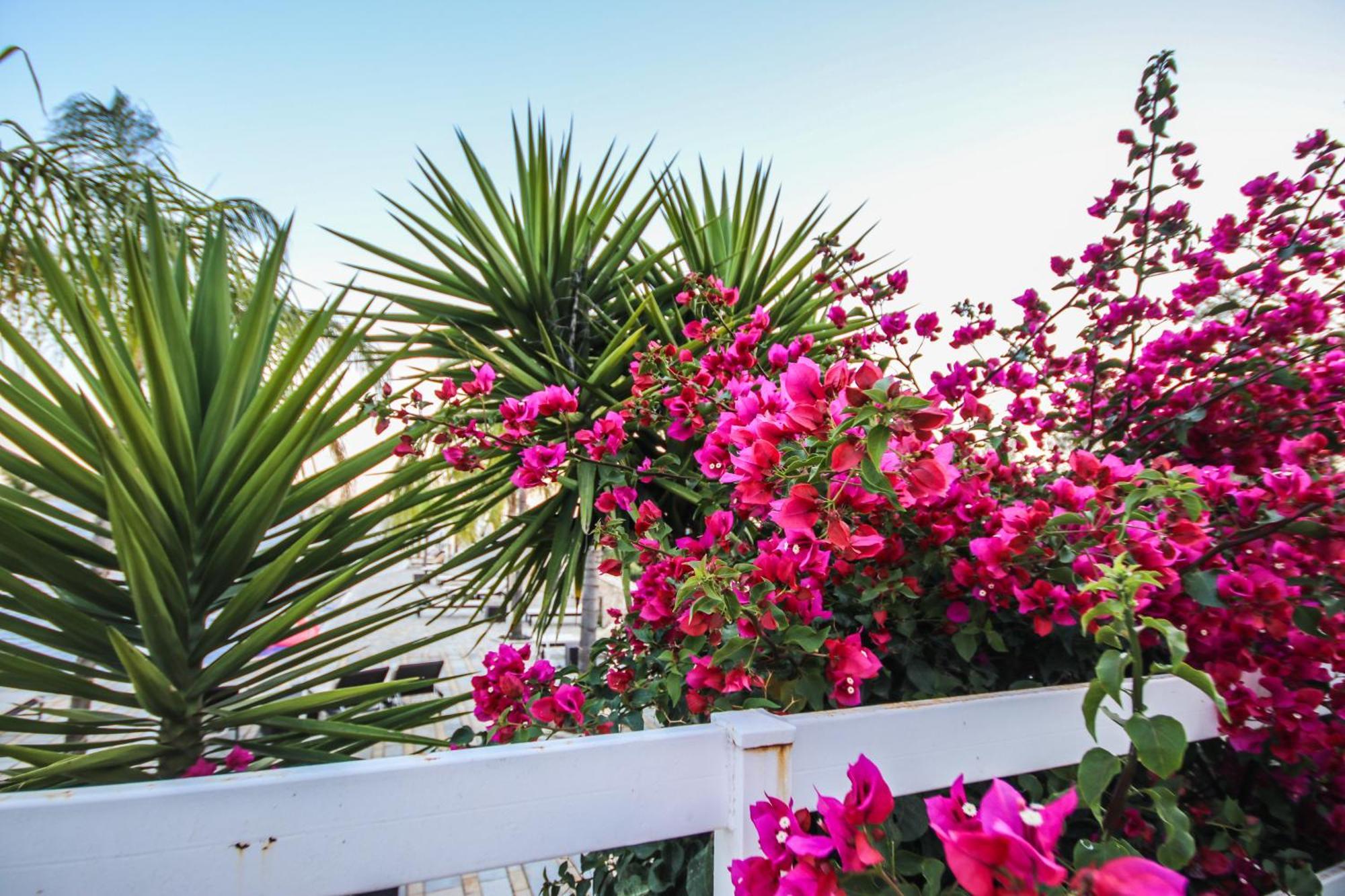 Elysium Hotel Dhermi Exterior photo