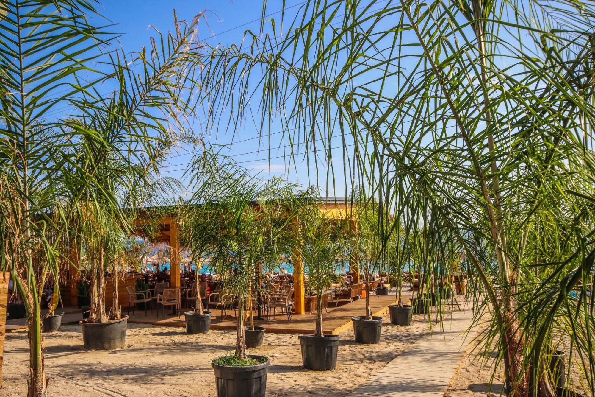 Elysium Hotel Dhermi Exterior photo
